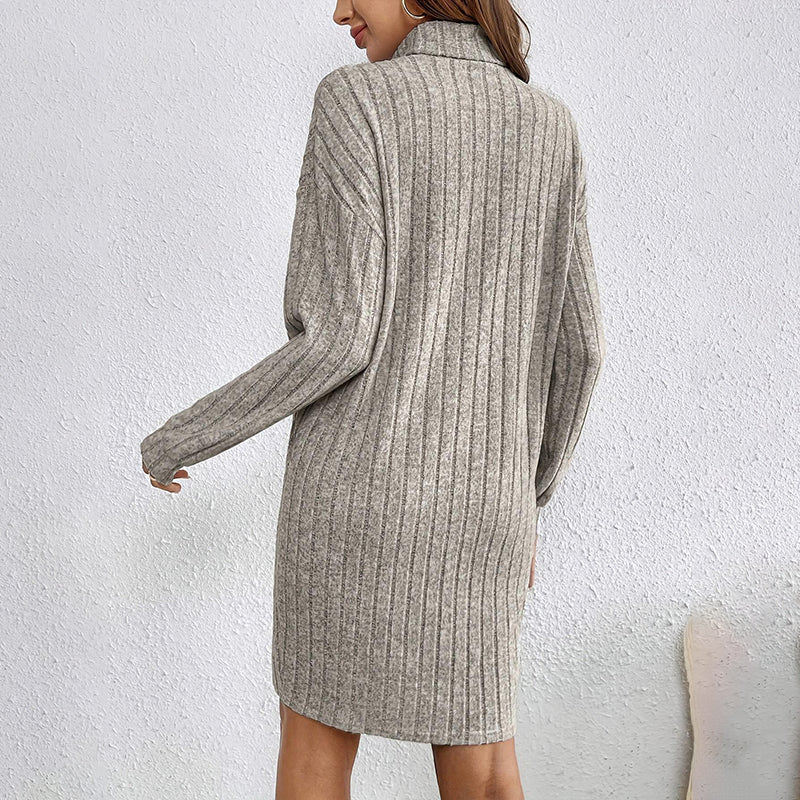 Turtleneck Slim Mini Dress